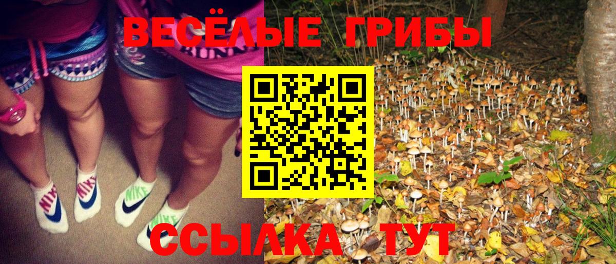 Галлюциногенные грибы Psilocybe  Вход с VPN  Ростов-на-Дону  Псилоцибиновые грибы MAGIC MUSHROOMS 